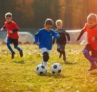 双色球秘籍,期独家定蓝,预测,广东体彩,广东体彩网,广东体彩网官网,体育彩票,体彩大乐透,竞彩足球,体彩公益