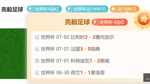 瑞士队防线广东体彩网官网：能否抵御南美强攻终极指南